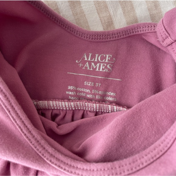 Alice + Ames Short Sleeve Ballet Dress Size 3 Bundle - Picture 6 of 11